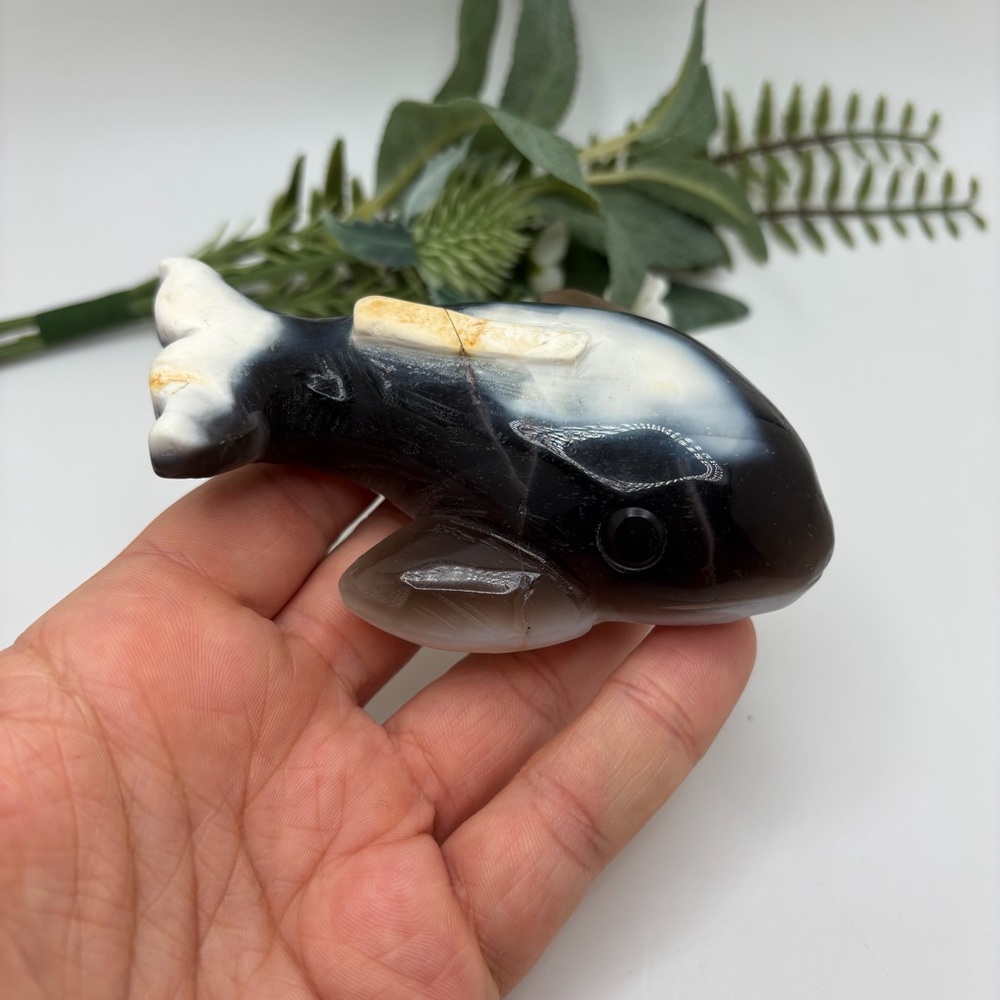 Orca Agate Orca (C)